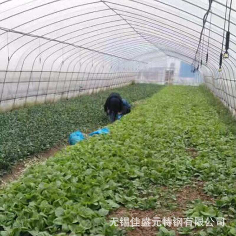 自供湖北武汉蔬菜大棚管25*2.0镀锌大棚钢架 大棚配件1亩地多少钱