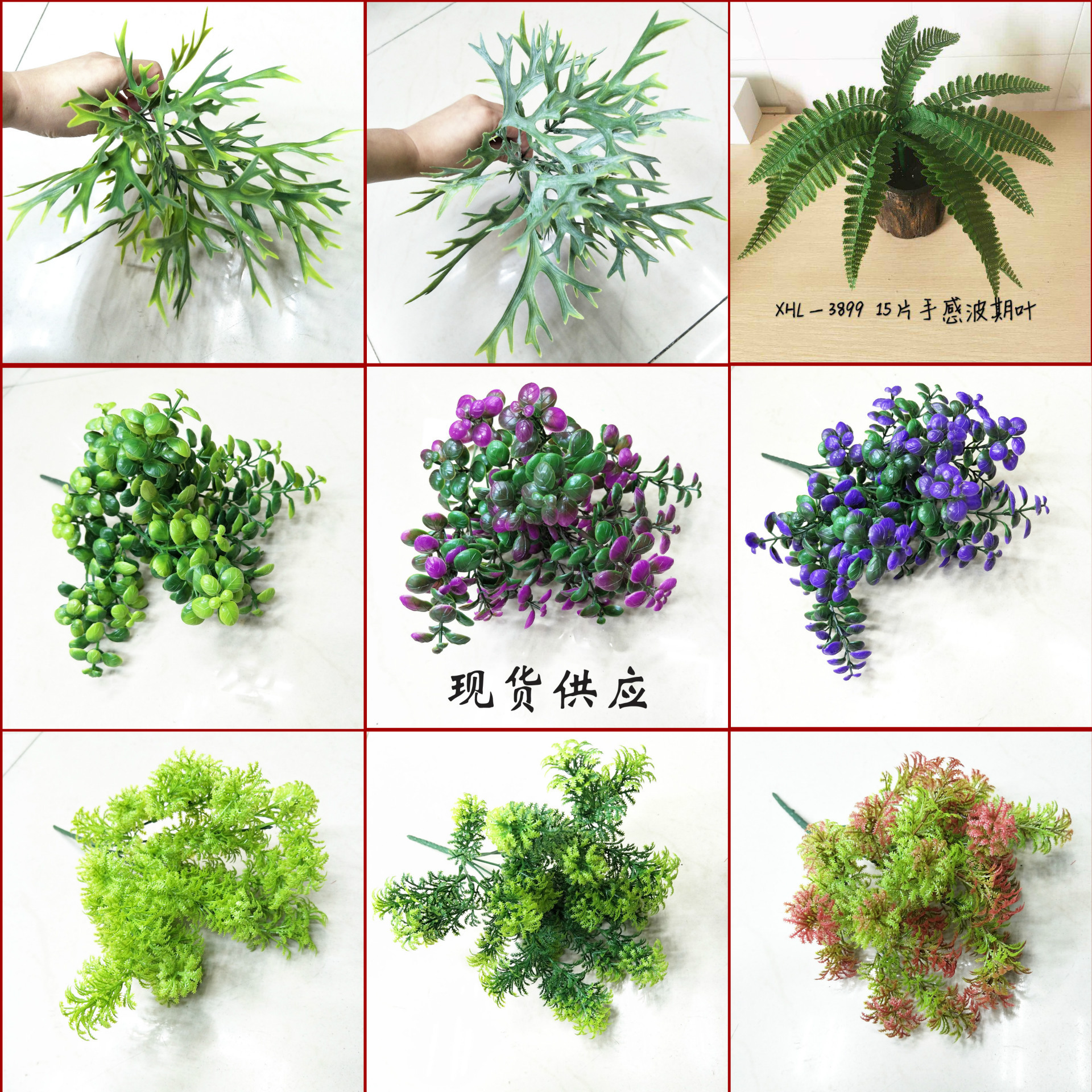 IMG20170903144543 副本