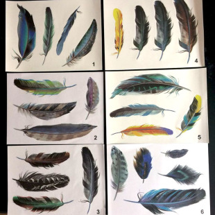 ��܇��ë܇�N��ҕ�R�N�����N�����N�����b�b��N�������Q���uͨ