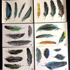 Car Feather Car Sticker Rear View Mirror Sticker Fuel Tank Sticker Scratch Patch Decorative Modification Sticker Decal E-commerce AliExpress