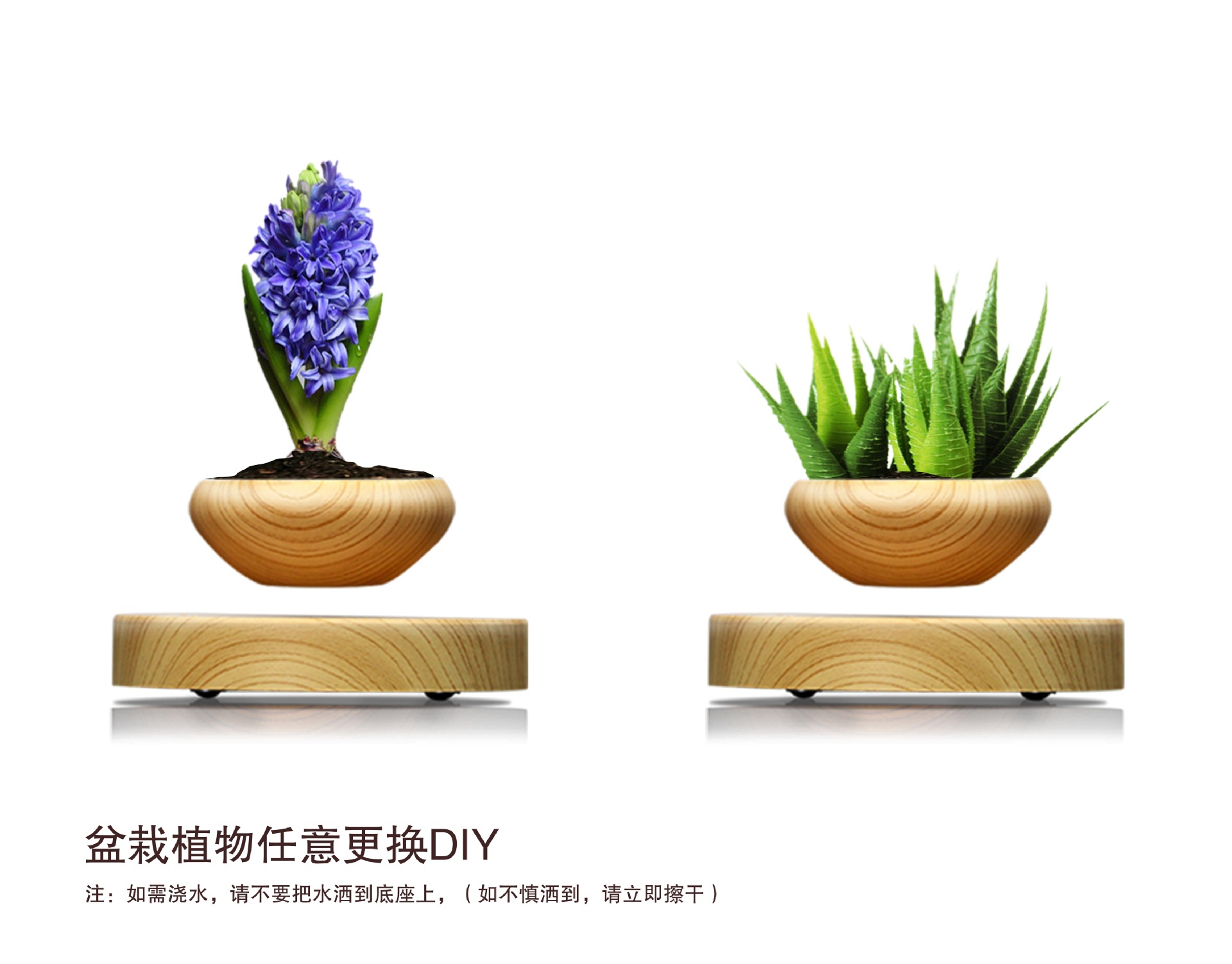 小木纹盆栽 5