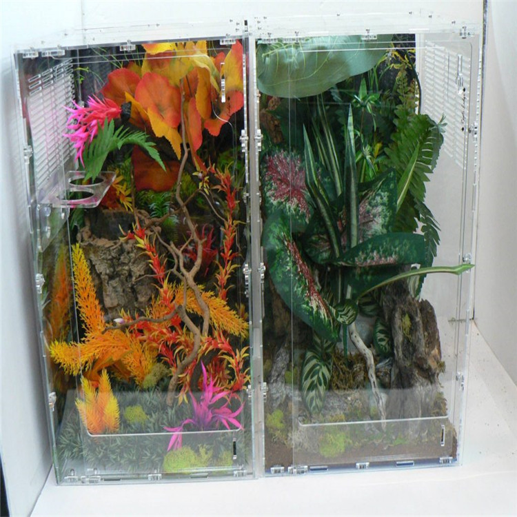 acrylic reptile display cases