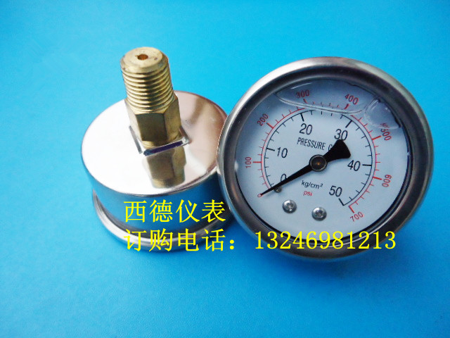 YN-50Z 50MM背式0－50KG充油压力表 充油防震压力表 2分牙
