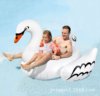 Inflatable swan, water aqua park