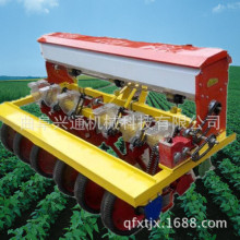 ɽ���������N�C ���ְײ˲��N�C ��� �۹������C