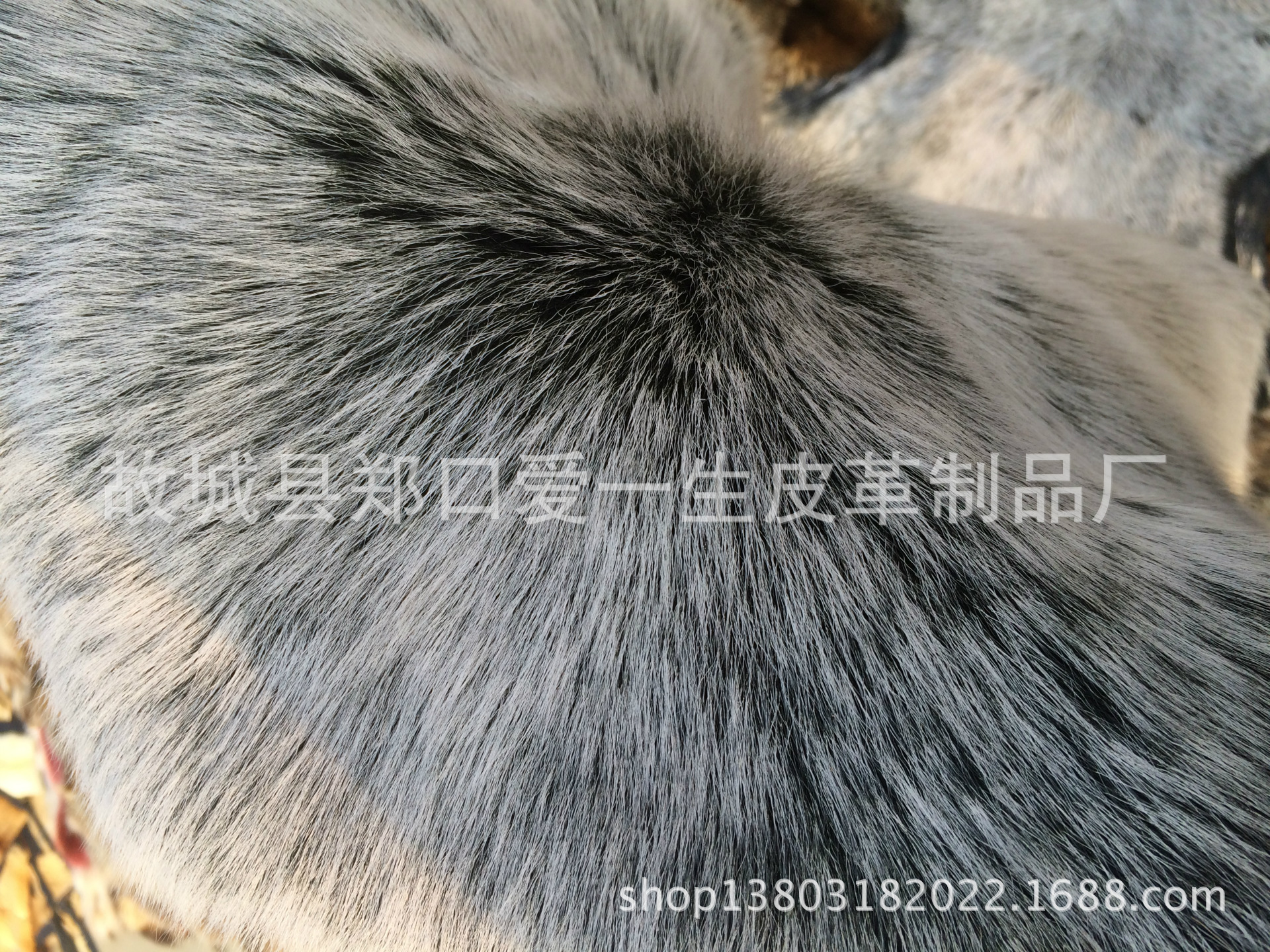 IMG_6234[1]