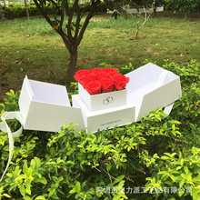 �W����  �����p�_�ߙn�r���Y��  ��������  ���b�YƷ��  ��c�Y��