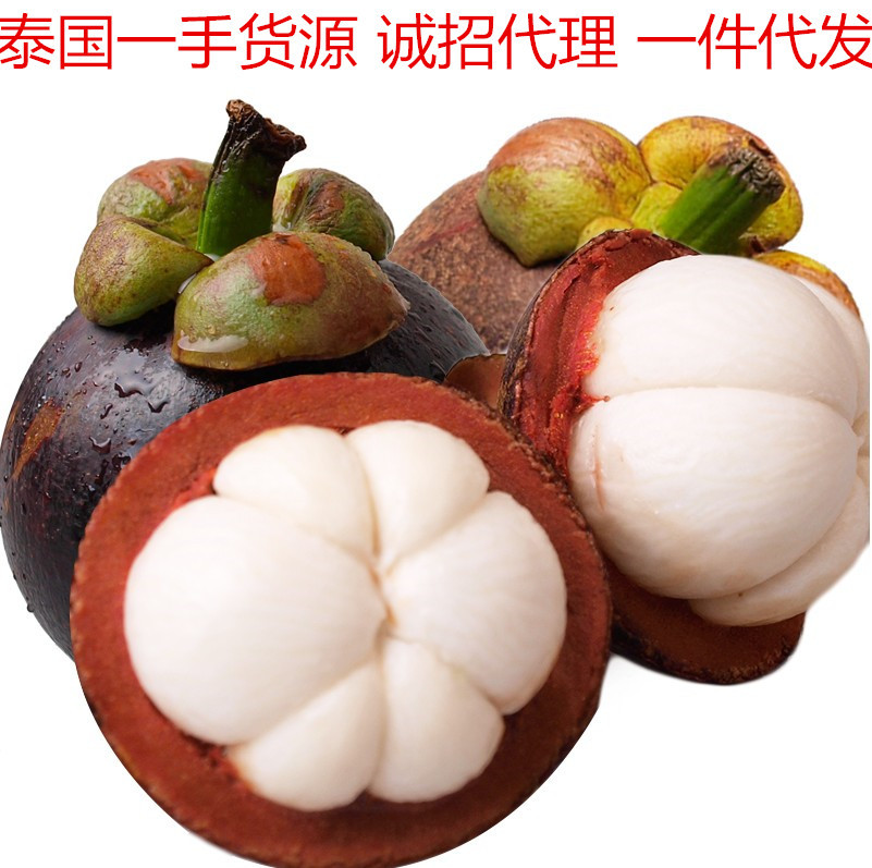 goods in stock Thailand Mangosteen 5 pounds fresh Tropical fruit Group purchase wholesale Oil Bamboo Ma Zhu 2 10 Catty