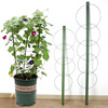 Iron ring flower pillar potted vine climbing vine horticultural bag plastic flower pot bracket