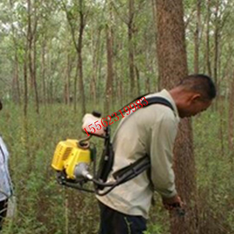 保定树木防治病虫害的好方法 注孔打药机热销