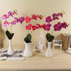仿真小蝴蝶蘭 室內裝飾仿真花卉 塑料假花工藝花2叉蝴蝶蘭葉子