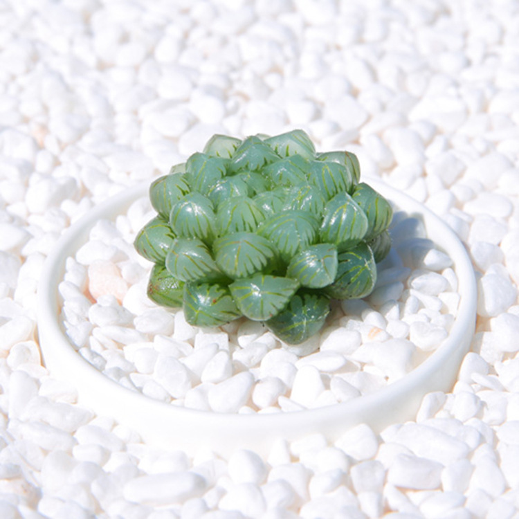 TB26nj9fohnpuFjSZFEXXX0PFXa_!!