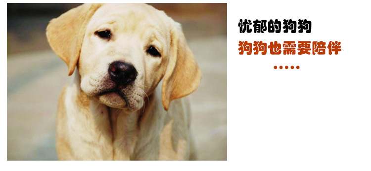 棉绳骨头玩具_03