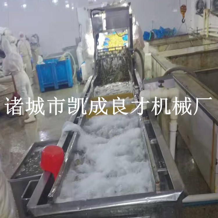 土豆清洗机 杏子蔬菜清洗加工设备 气泡式果蔬清洗机