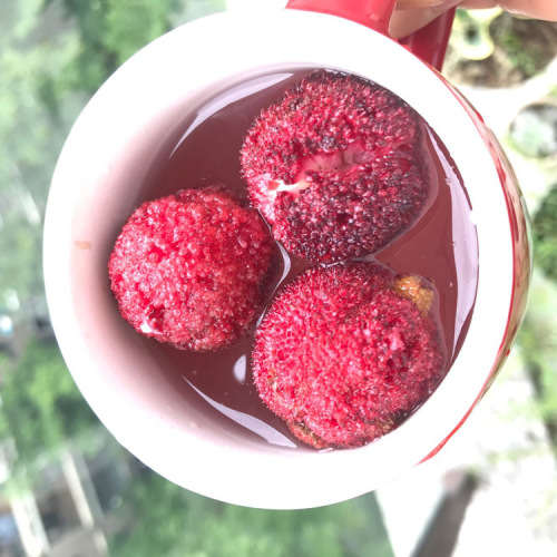 Freeze-dried dried bayberry manufacturers wholesale net weight multiple specifications bubble bayberry juice flower and fruit tea wholesale bayberry grains