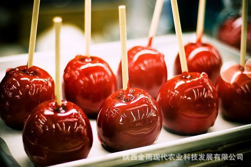 寰俊鍥剧墖_20171103084825_鍓湰