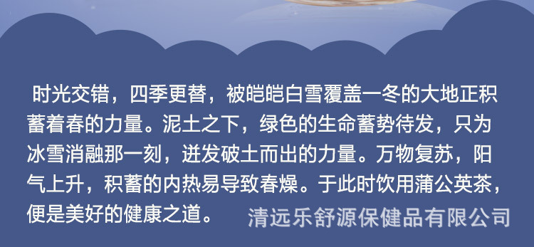 蒲公英茶(新)_02