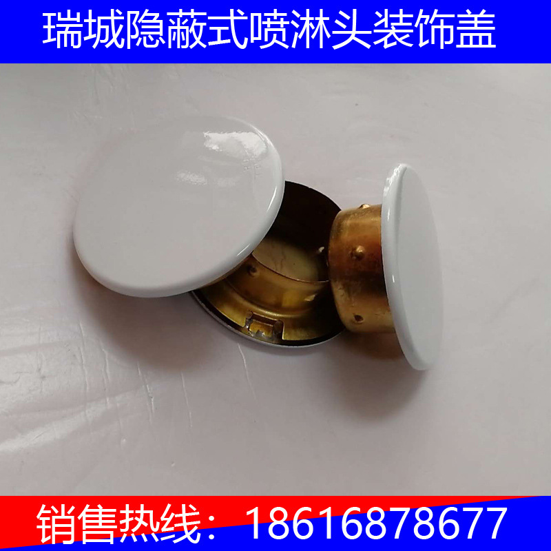隐喷盖ZSTDY15-68隐喷盖瑞城全铜装饰盖隐蔽式喷淋头喷淋头装饰盖