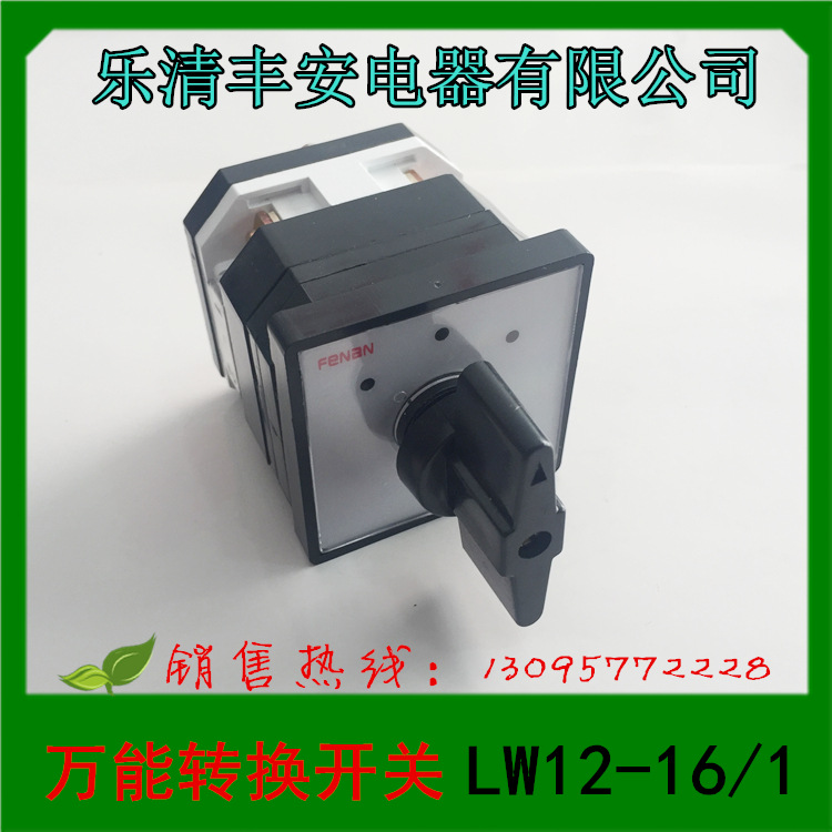 1 乐清丰安电器 万能转换开关 LW12-16D0081/1 组合开关
