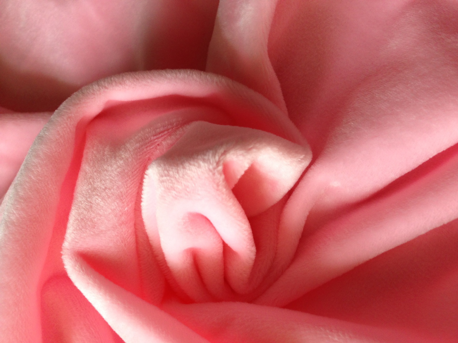 超柔水晶绒面料 印花时尚短毛绒服装家纺面料 涤纶服饰面料