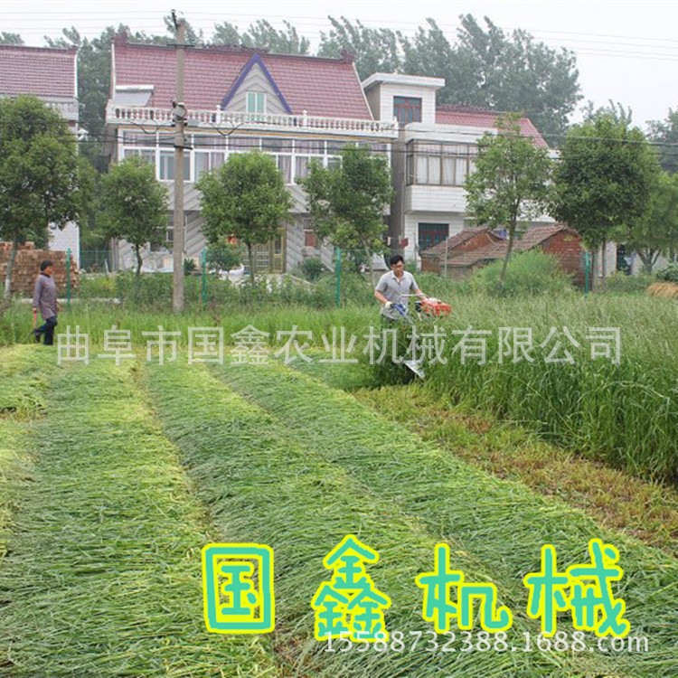 衡水轻便式辣椒收获机