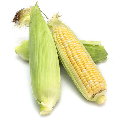 Season fresh Corn Yunnan Fruit Corn Fresh vegetables Sweet Corn 59 One piece On behalf of