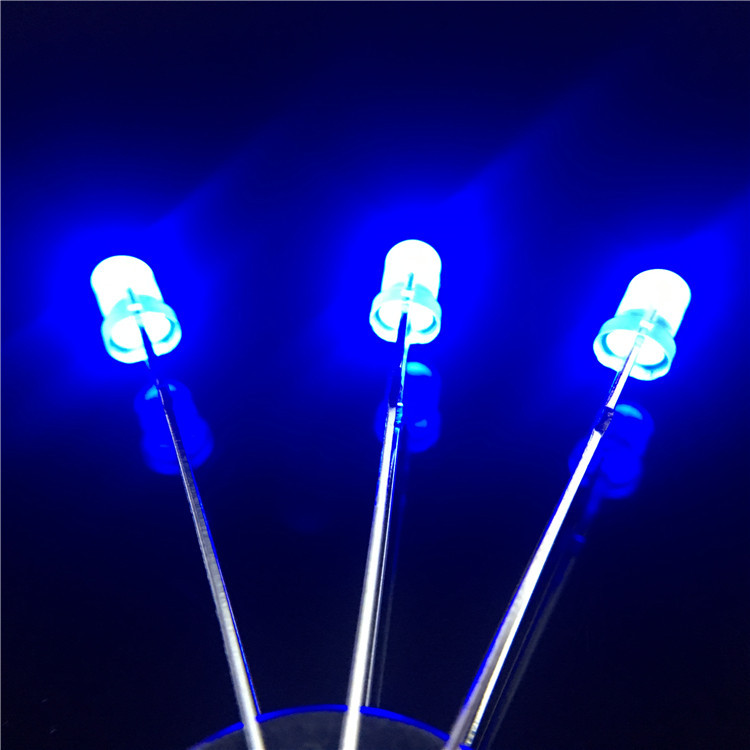 F3圆头兰发兰长脚5