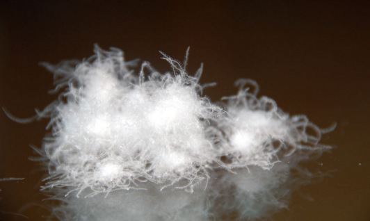 功羽绒，用科技彻底颠覆传统羽绒缺陷，健康安全更可靠！