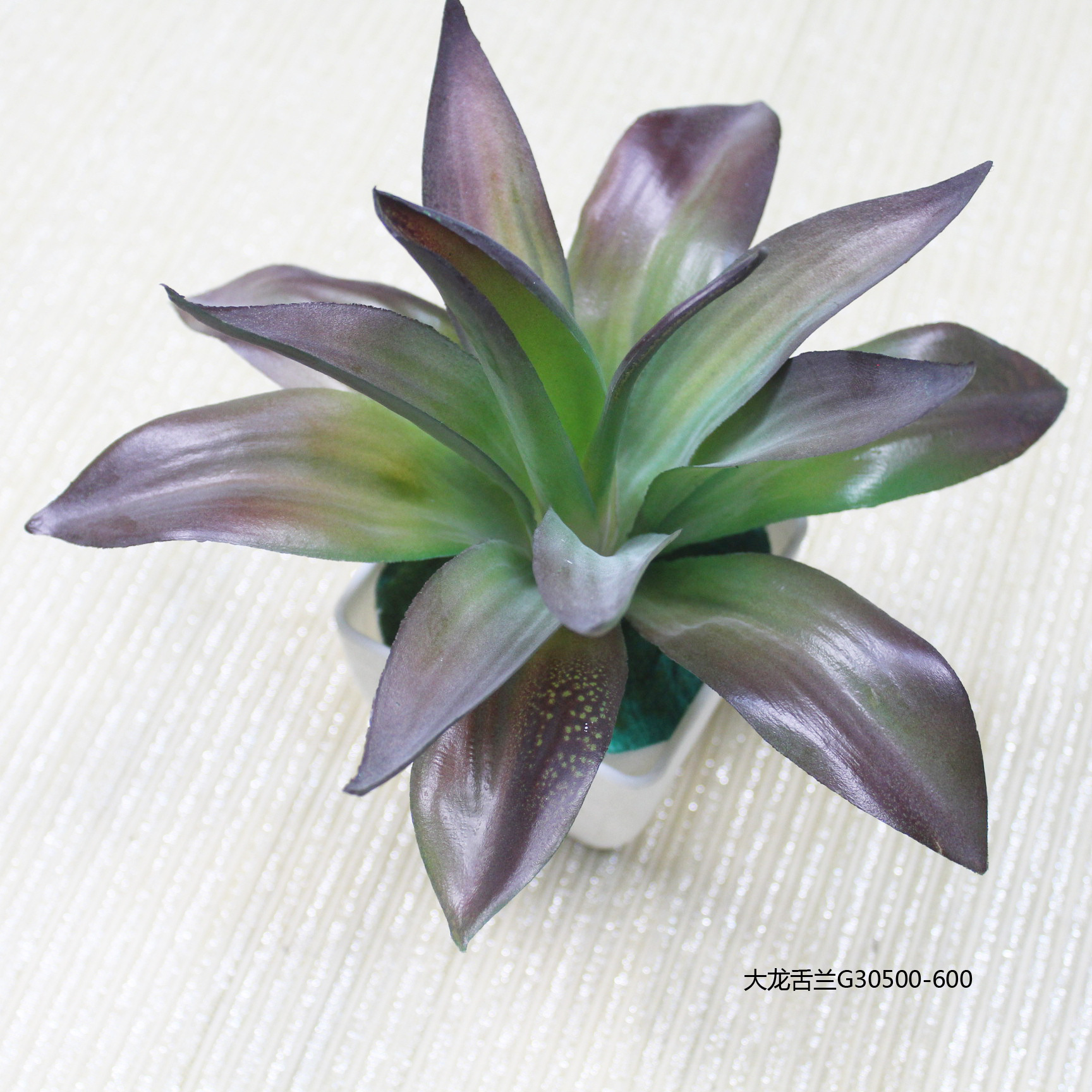 大龙舌兰G30500-600