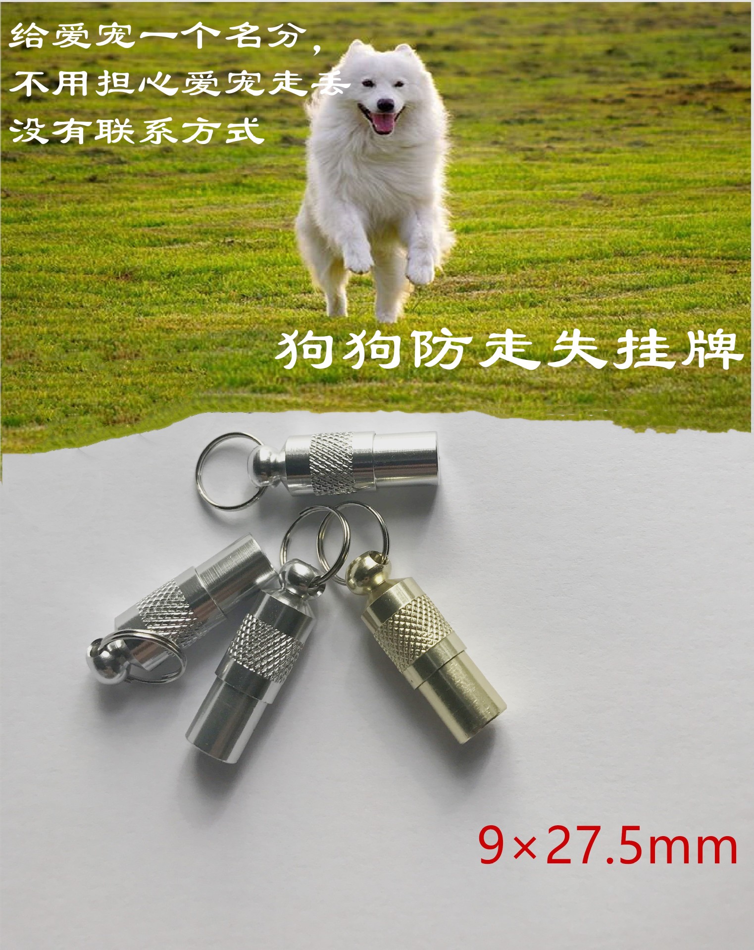 阿里旺旺图片20170802161631_副本_副本