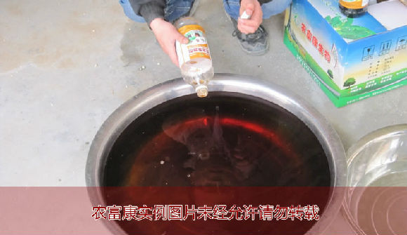 豆渣发酵剂