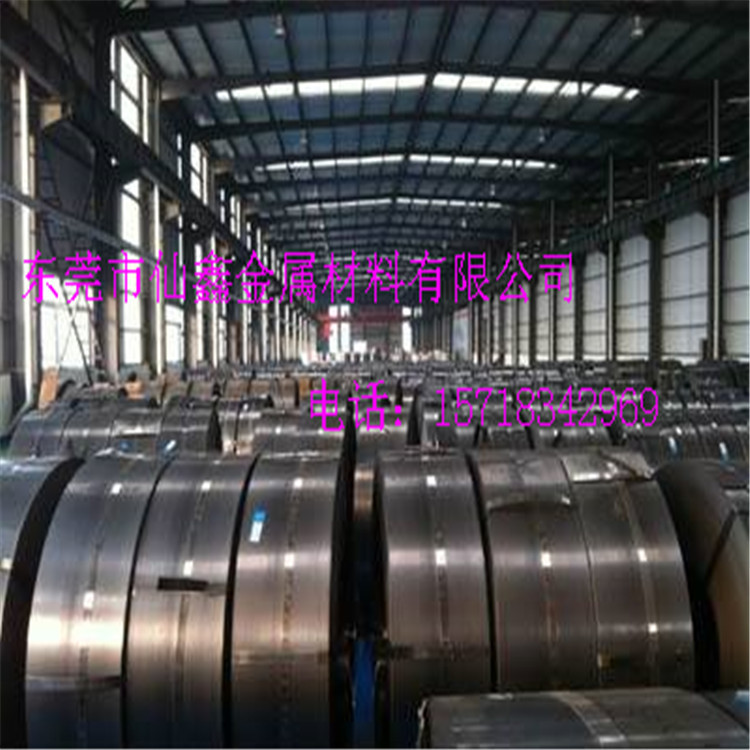 专业批发零售304不锈钢带 精密SUS304不锈钢卷带 可分条