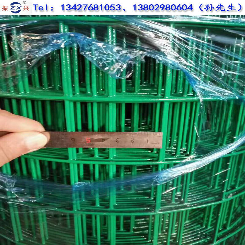 现货供应围地圈鸡荷兰网 散养鸡铁丝网 批发绿色浸塑荷兰网