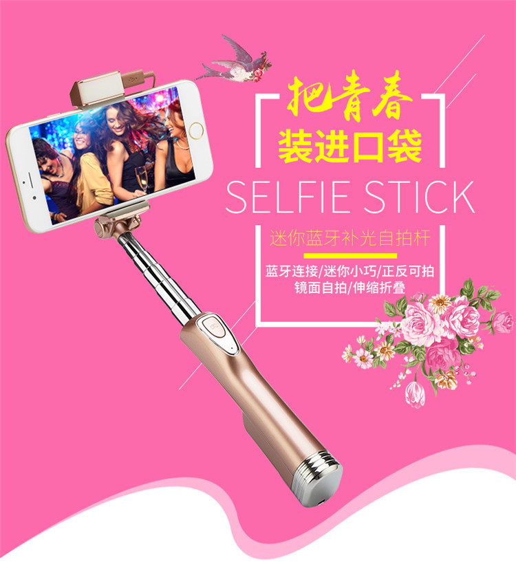 Stick selfie en Acier inoxydable - Ref 3386607 Image 13