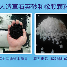 广州细颗粒物平均浓度连续两年达标 全年未出现重污染天气