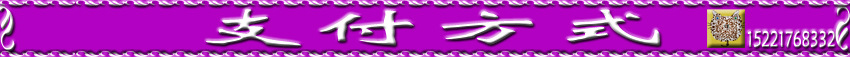 支付方式