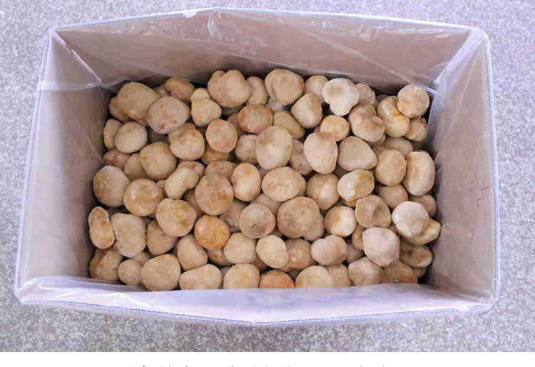 猴头菇-详情图al_09