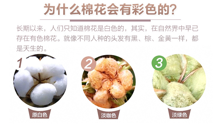 电脑端-彩棉尿垫详情_04