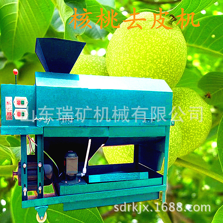 898_����_����