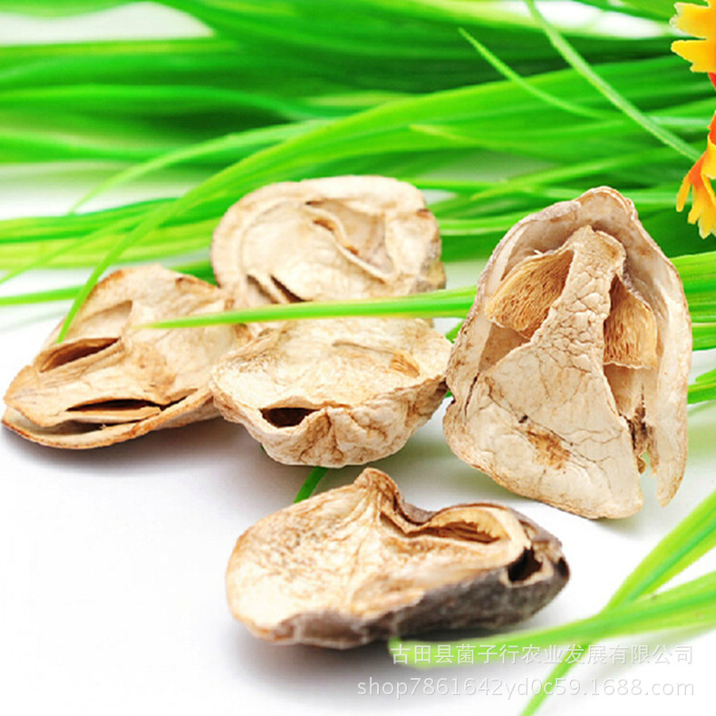 2963797834_1766974570