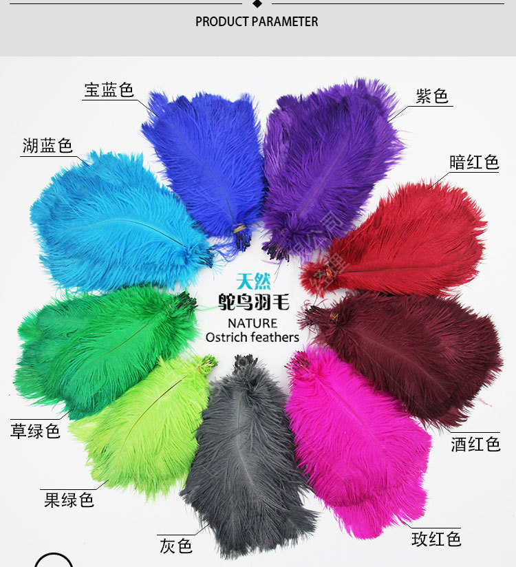 разноцветный Страус волосы 15-40_03.