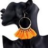 Fashionable earrings, accessory, European style, boho style