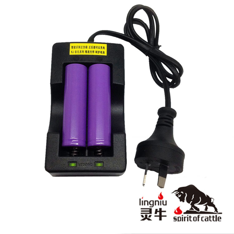 澳规18650电池充电器 正负极智能识别 双槽 双通道 厂家直销