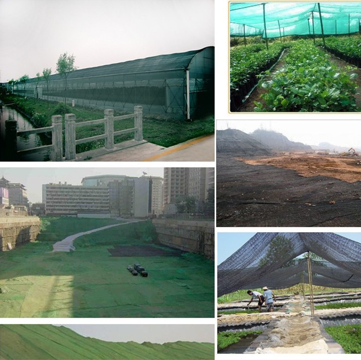 3771485945_1341334152