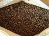 Long-term Of large number supply Shanxi Datong high quality Bitter buckwheat Bitter buckwheat quality ensure