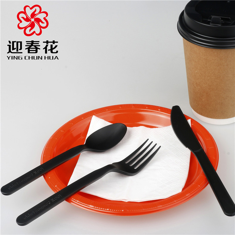 跨境 C PLA耐高温一次性刀叉勺全降解 FDA认证100%Biodegradable