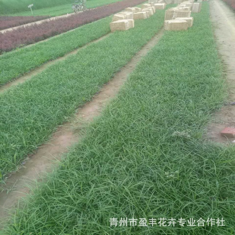 微信图片_20170829164421