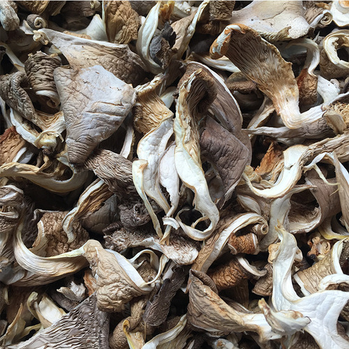Supply of Yunnan Plateau specialty delicious oyster mushroom strips dried goods bulk dried mushrooms manufacturers wholesale
