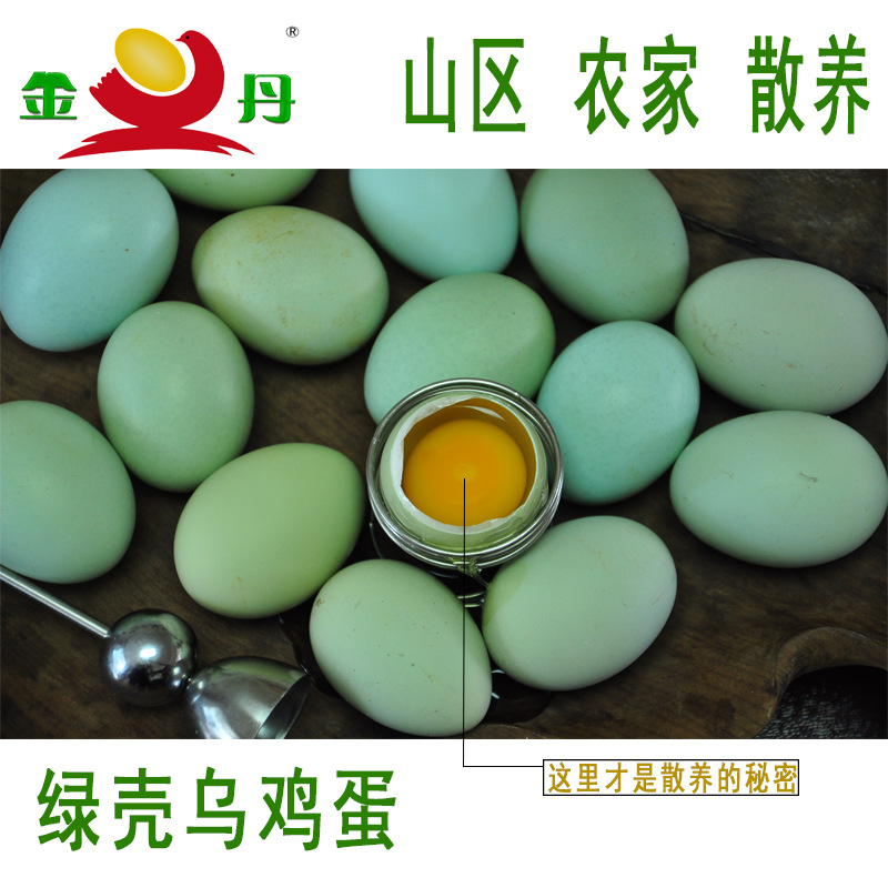 农场直销鸡蛋自养生态绿壳鸡蛋30枚包邮新鲜鸡蛋特产|ru