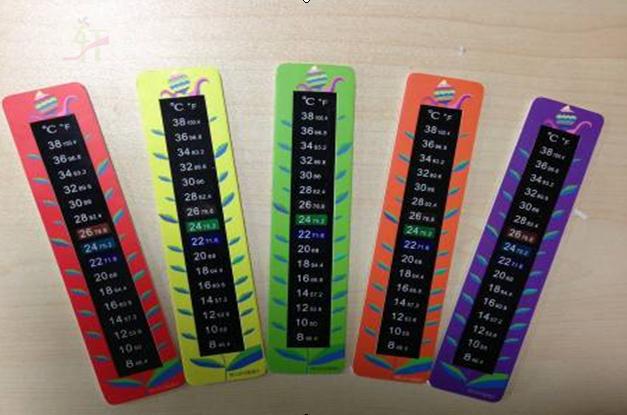 幼兒園温度计科學發現室配件儿童学习教学温度计温度显示器材